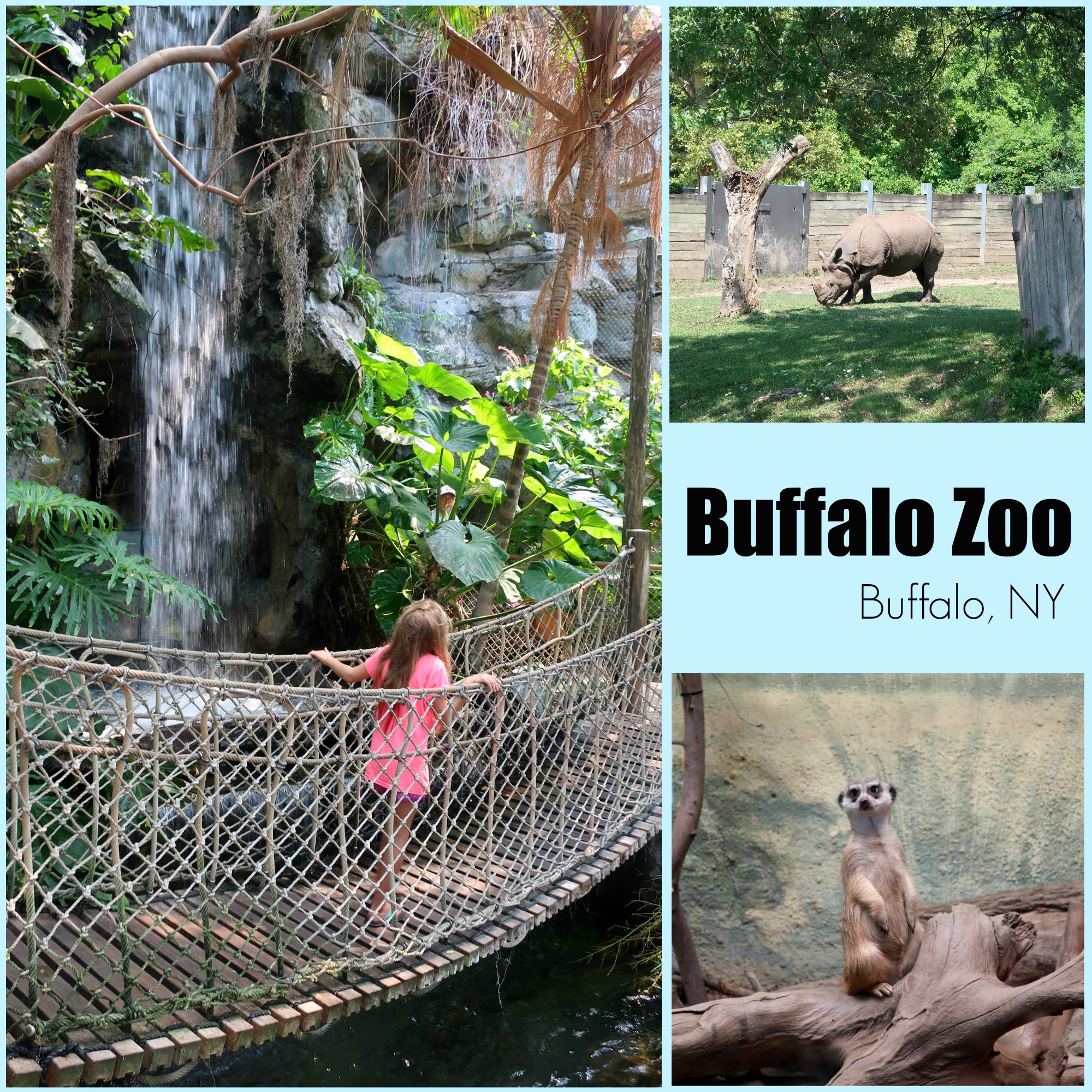 Buffalo Zoo, New York A Nation of Moms