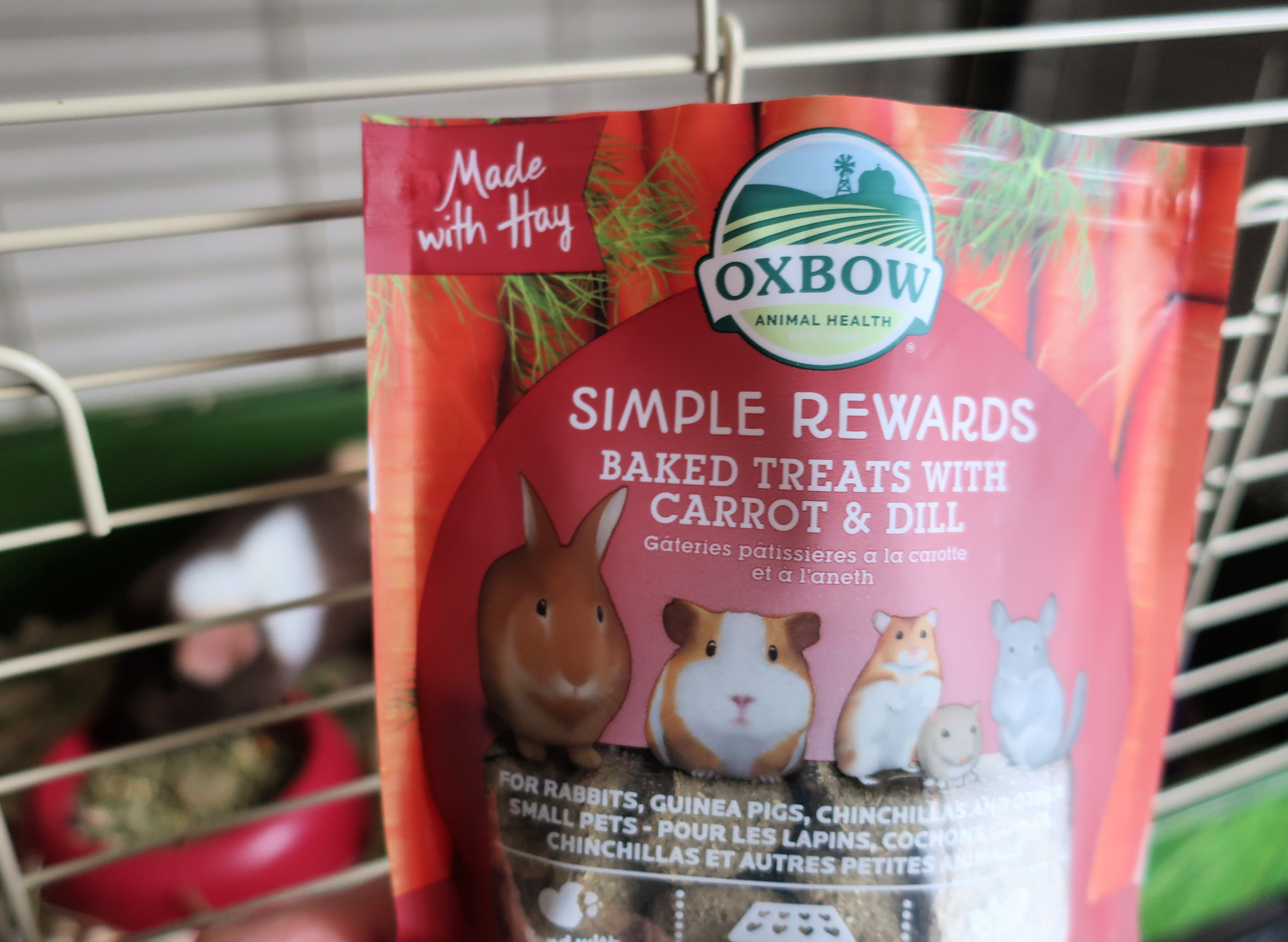 oxbow guinea pig treats