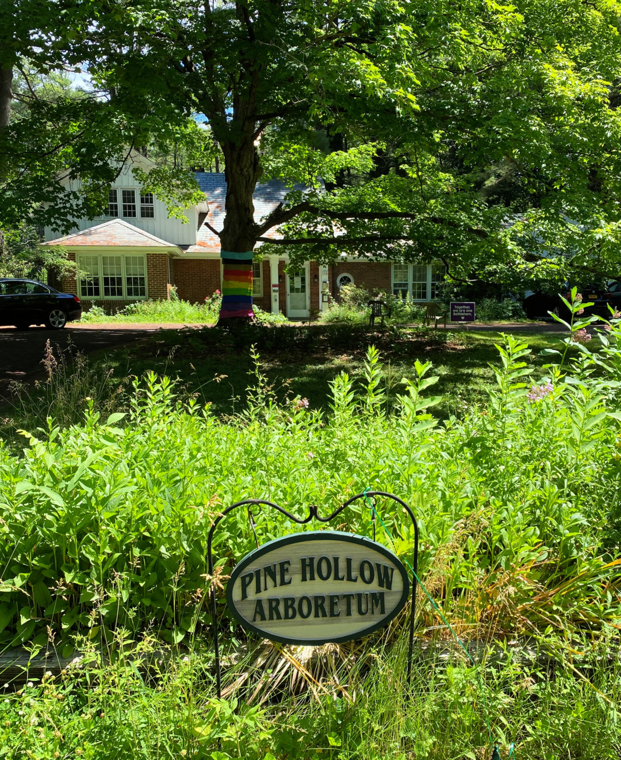 Pine Hollow Arboretum, Slingerlands, NY A Nation of Moms