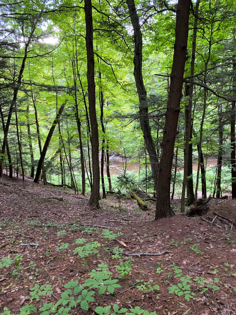 Lisha Kill Natural Area, Niskayuna, NY A Nation of Moms