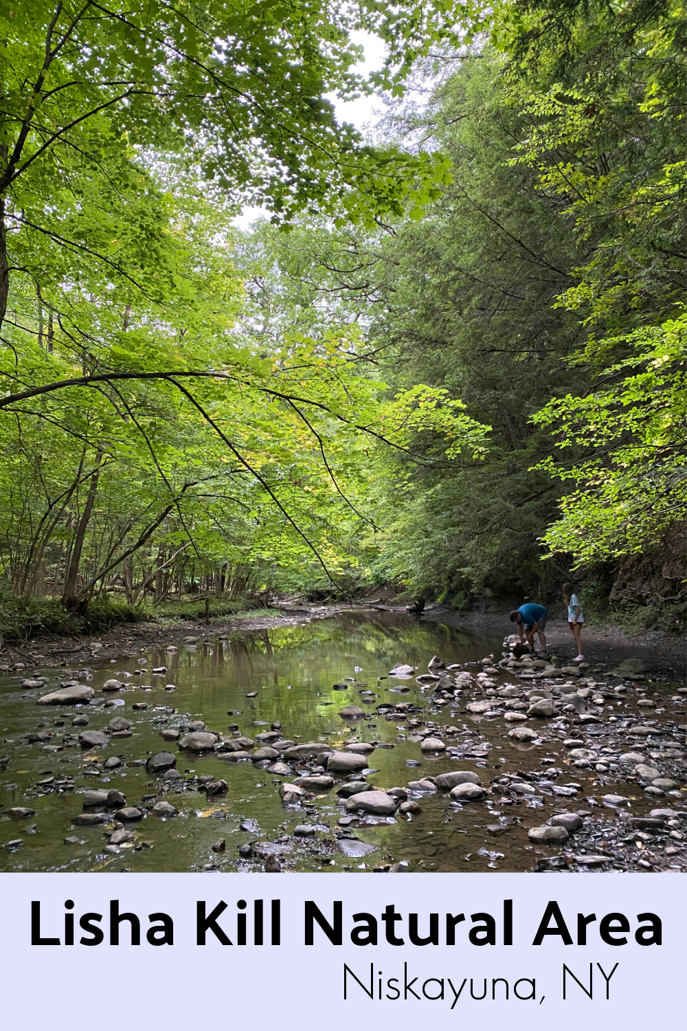 Lisha Kill Natural Area, Niskayuna, NY A Nation of Moms