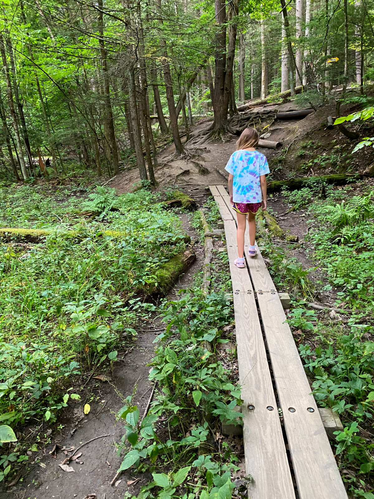 Lisha Kill Natural Area, Niskayuna, NY A Nation of Moms