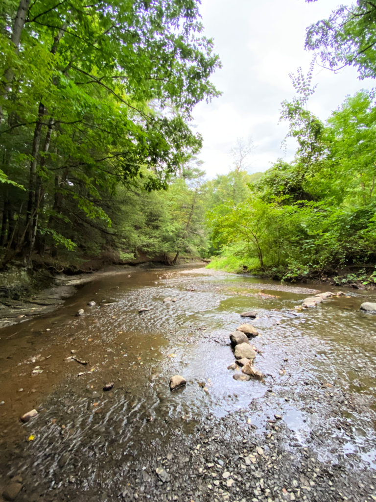 Lisha Kill Natural Area, Niskayuna, NY A Nation of Moms