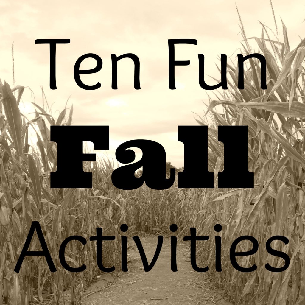 Ten Fun Fall Activities