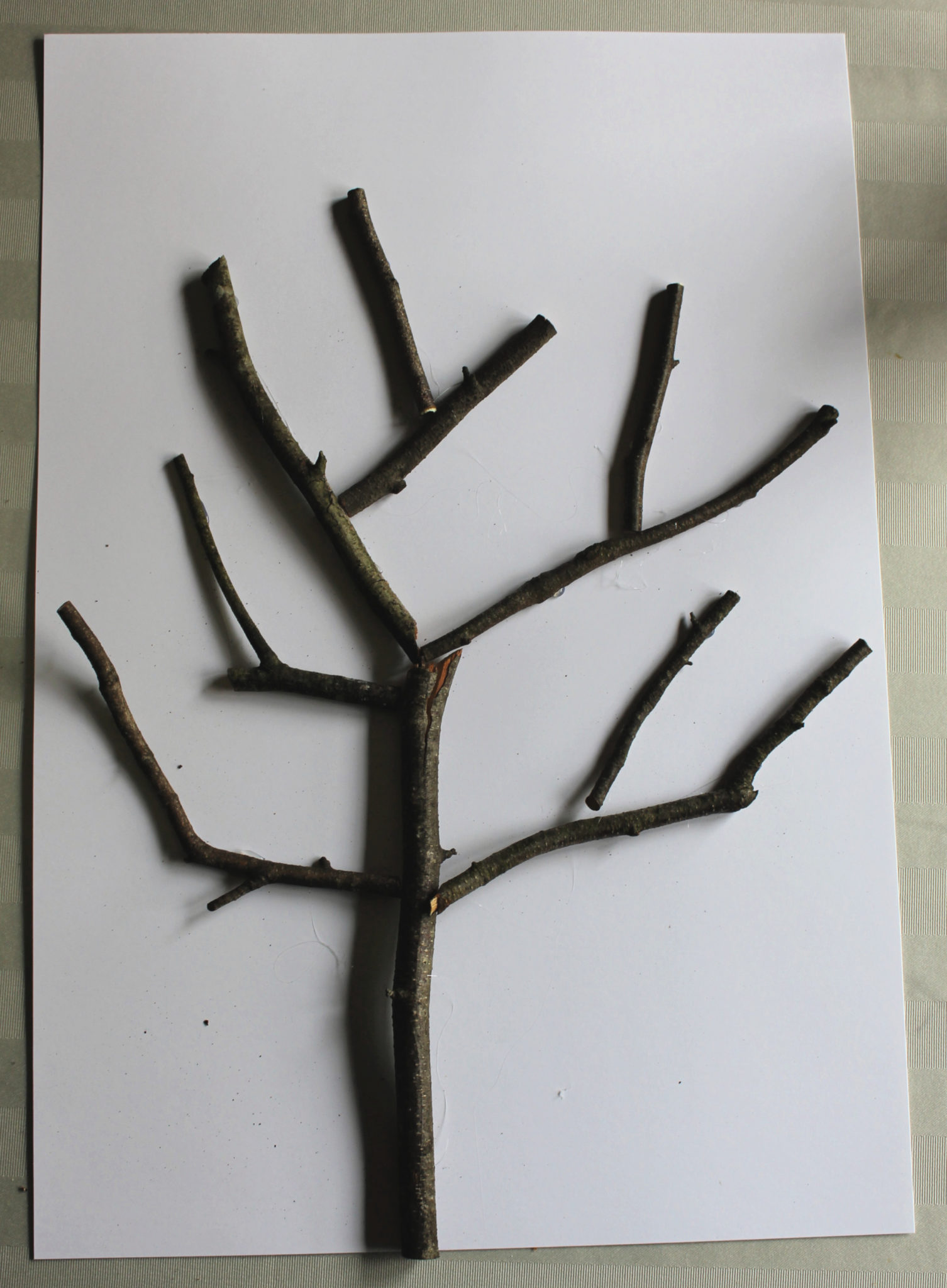 Tissue Paper Tree Craft for Kids A Nation of Moms