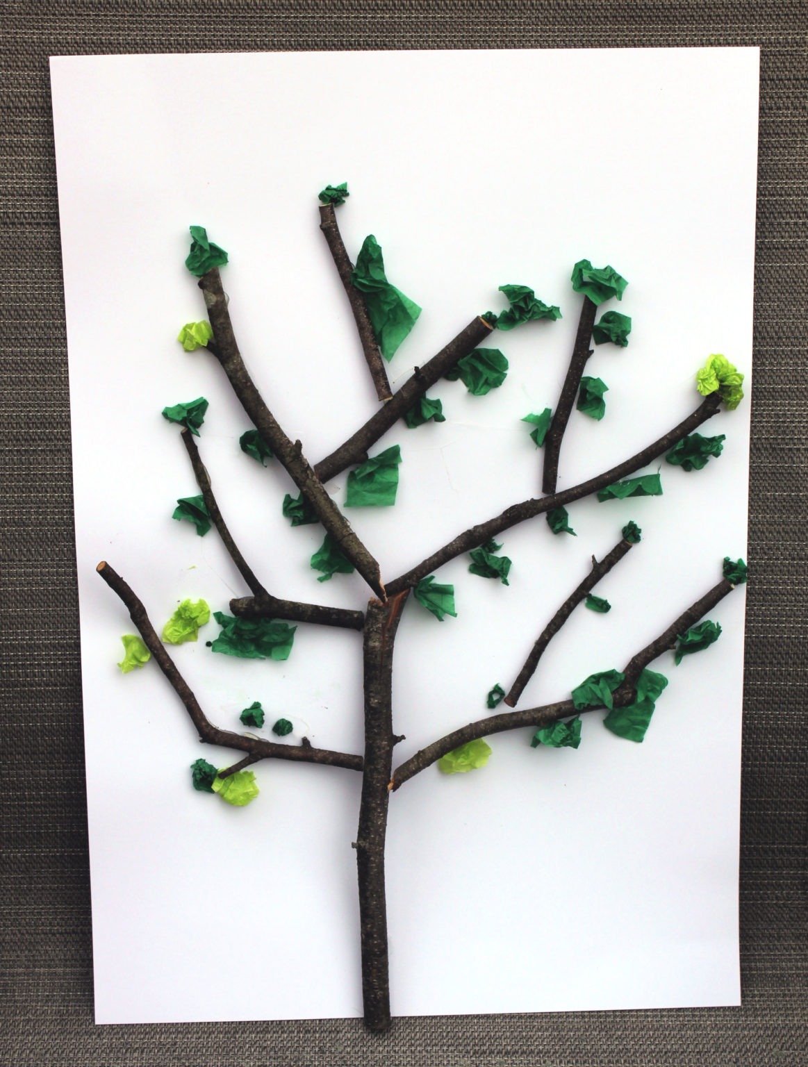 Tissue Paper Tree Craft for Kids - A Nation of Moms