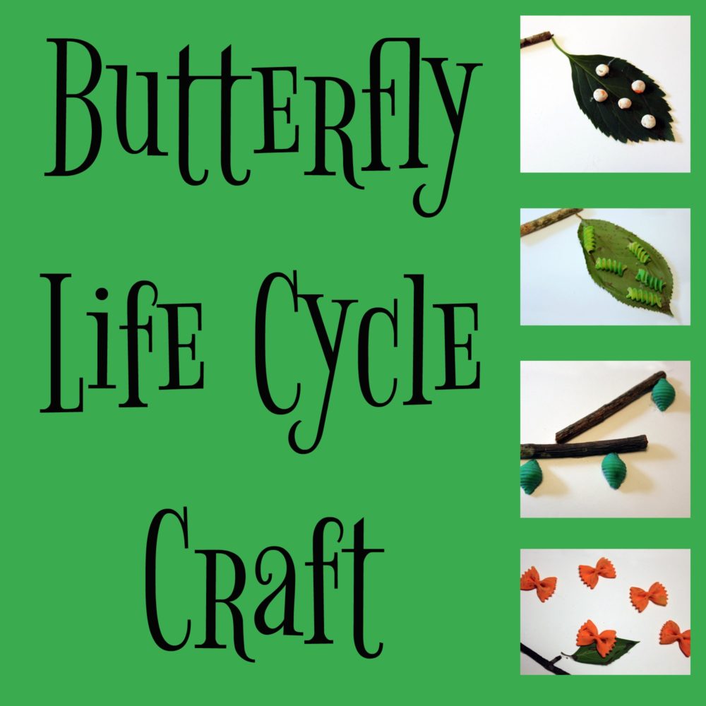 Butterfly Life Cycle Craft