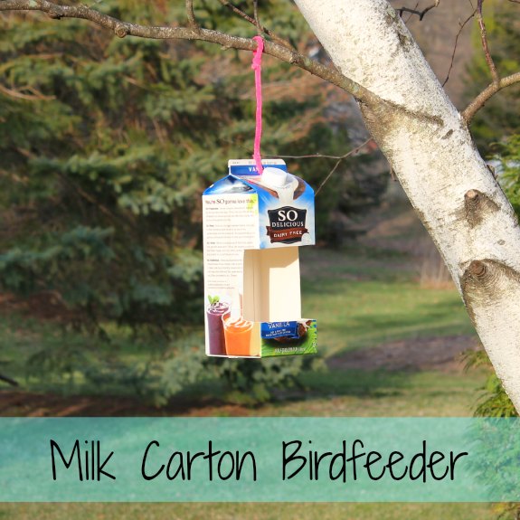 Milk Carton Birdfeeder