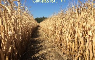 Sam Mazza's Corn Maze - Colchester, VT