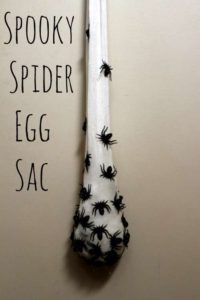 DIY Spider Egg Sac