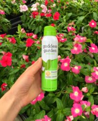 Goddess Garden Natural Sun Care Products