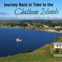 Journey Back in Time to the Chatham Islands