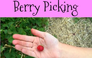 Tips for Berry Picking