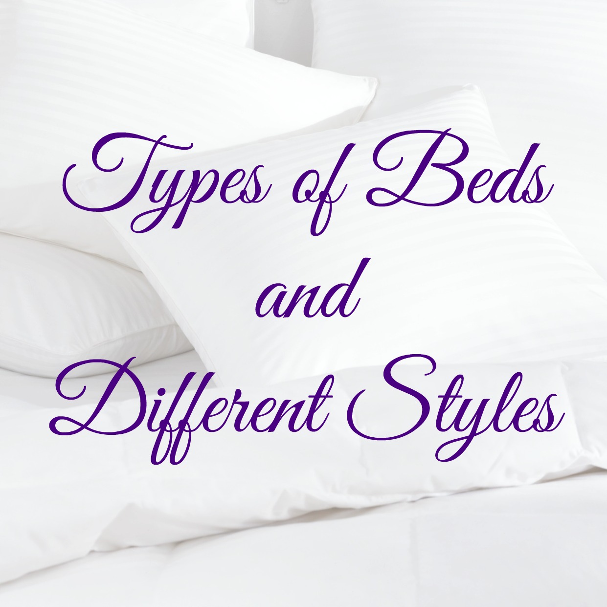 Bed Types
