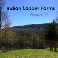 Indian Ladder Farms