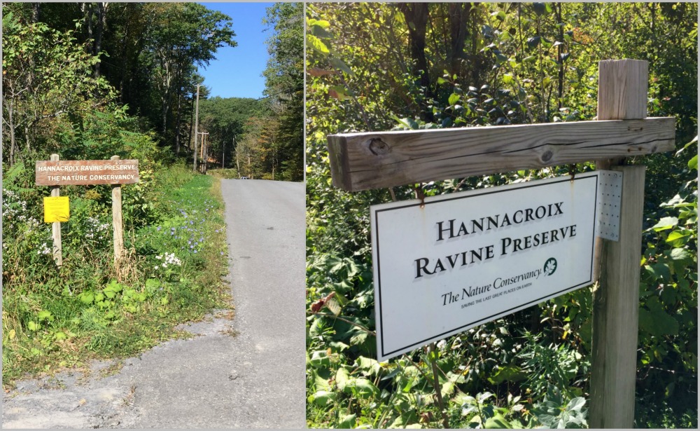 Hannacroix Ravine Preserve