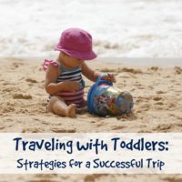 Traveling with Toddlers: Strategies for a Successful Trip