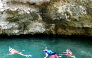 Cenotes Casa Tortuga