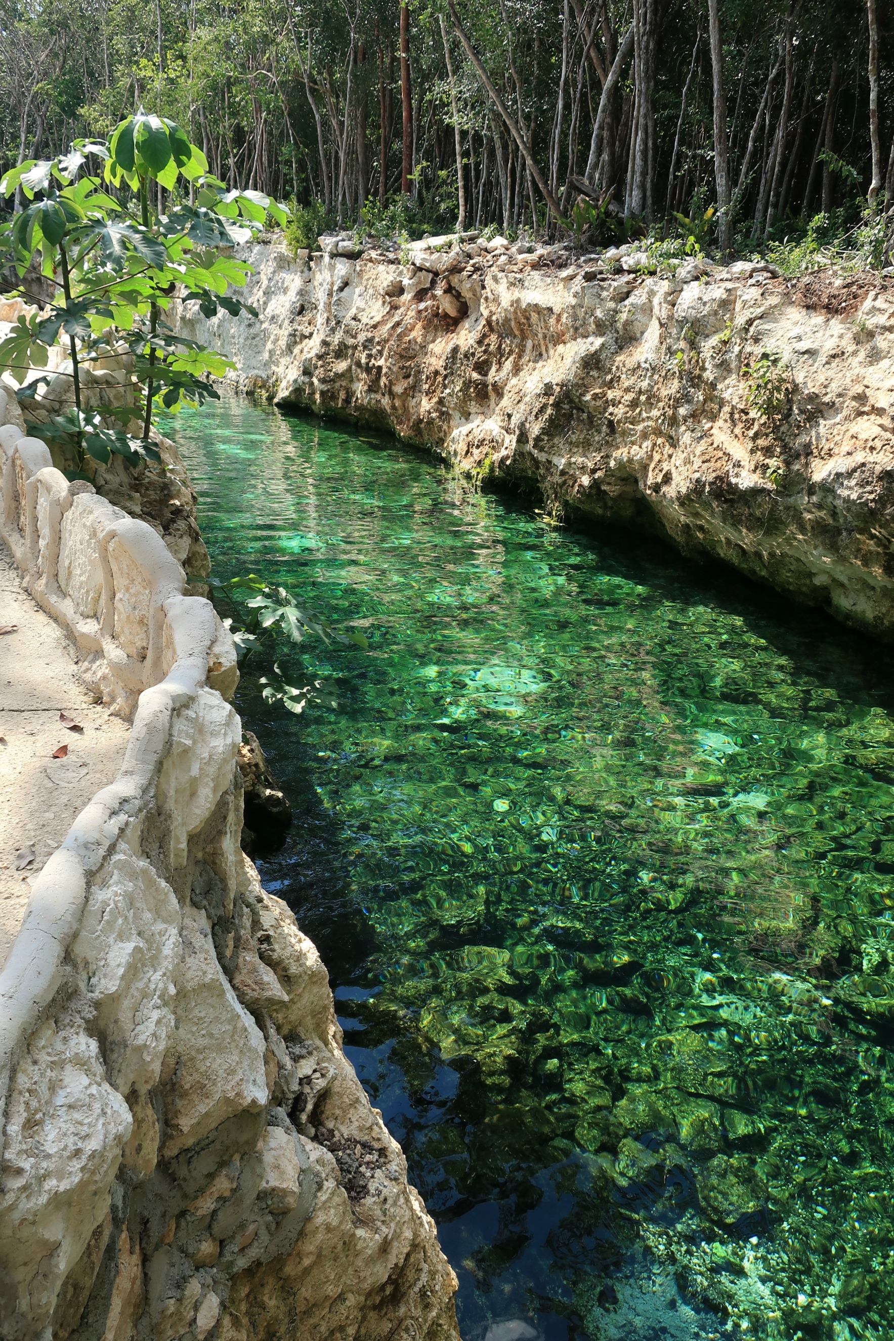 Casa Tortuga Cenote 