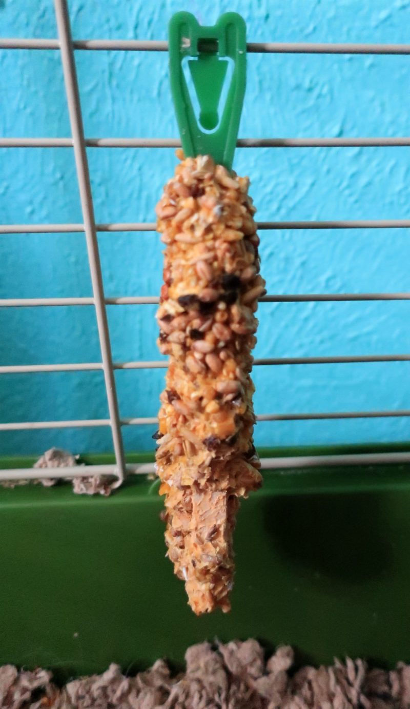 Vitakraft Guinea Pig Treats A Nation of Moms