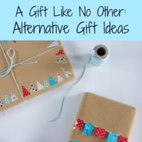 A Gift Like No Other: Alternative Gift Ideas