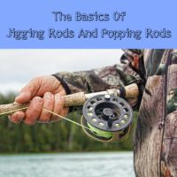 The Basics On Jigging Rods And Popping Rods