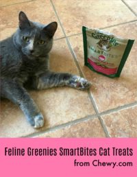Feline Greenies SmartBites