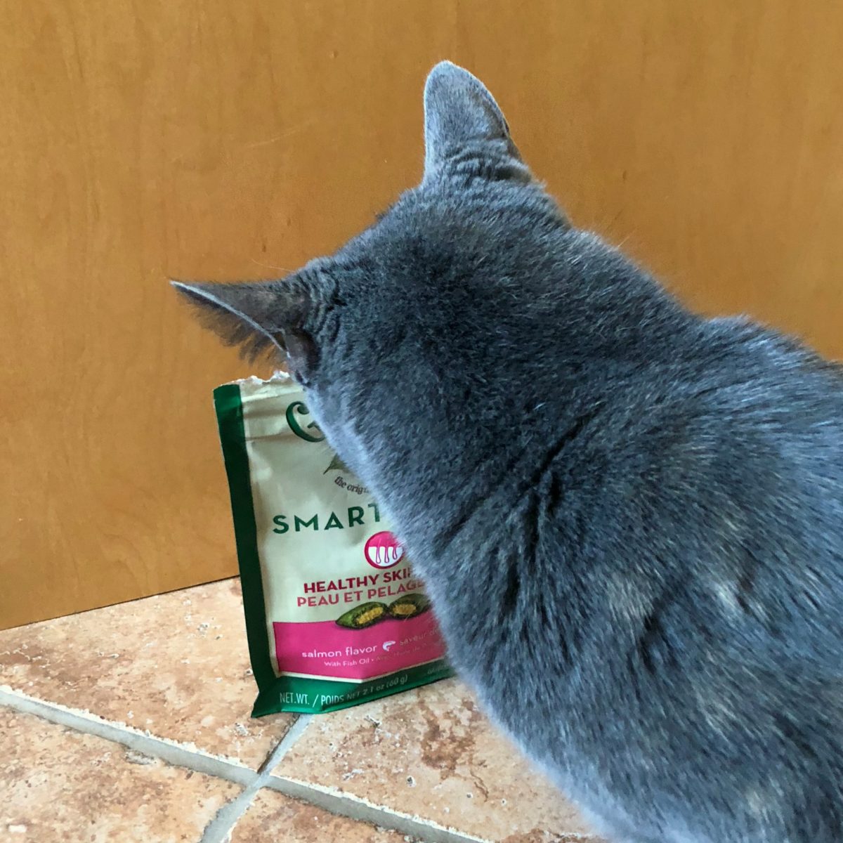 Jennie's New Feline Greenies SmartBites Cat Treats from A