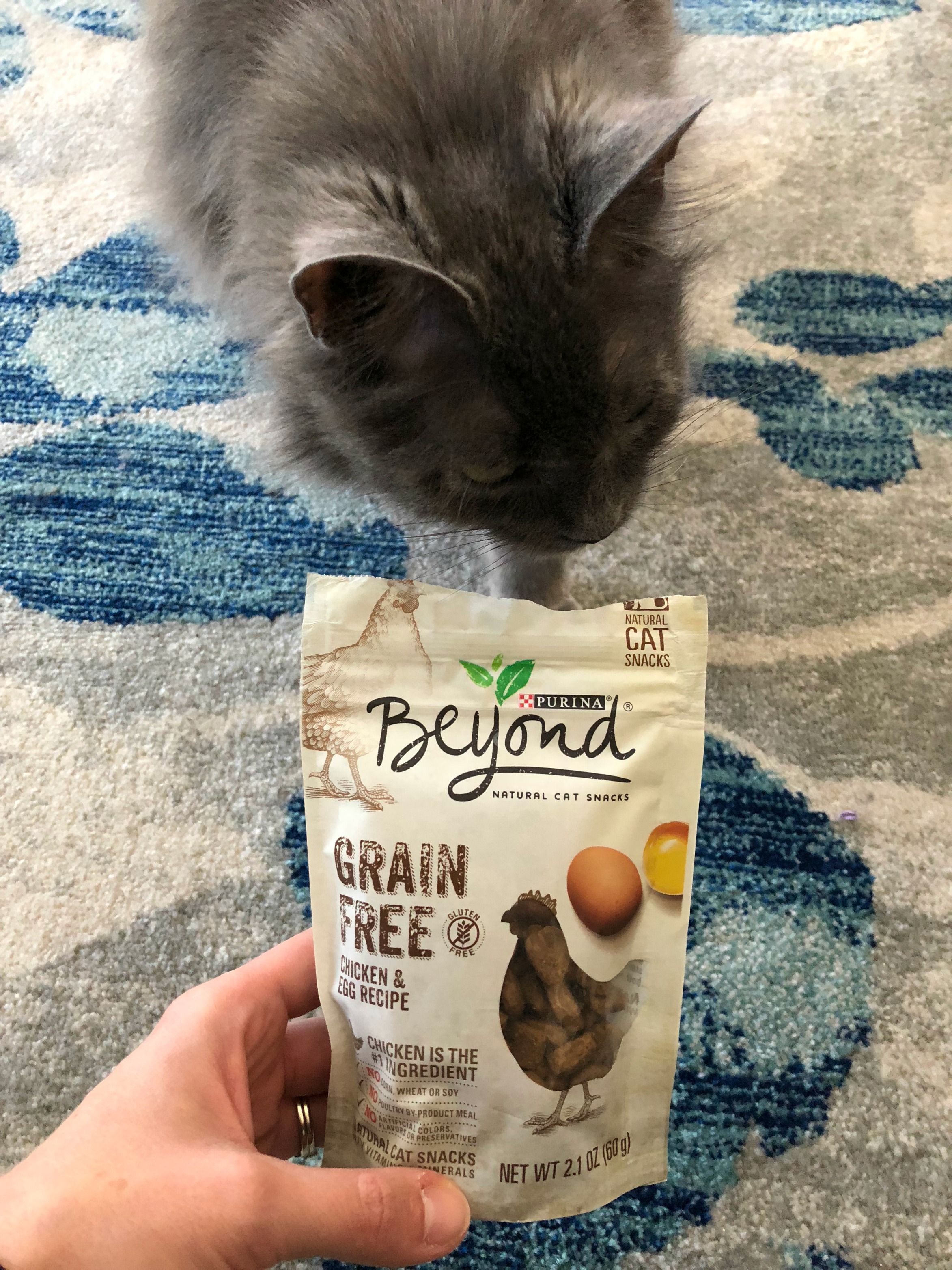 Purina Beyond GrainFree Cat Treats from A Nation of Moms