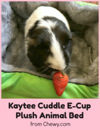 Oxbow Kaytee Cuddle E Cup Small Animal Bed