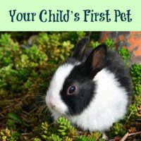 Your Child’s First Pet