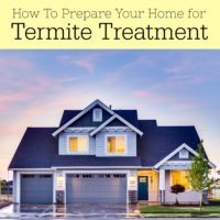 Termite Treatment