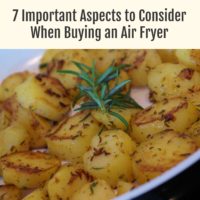 7 Important Aspects to Consider When Buying an Air Fryer