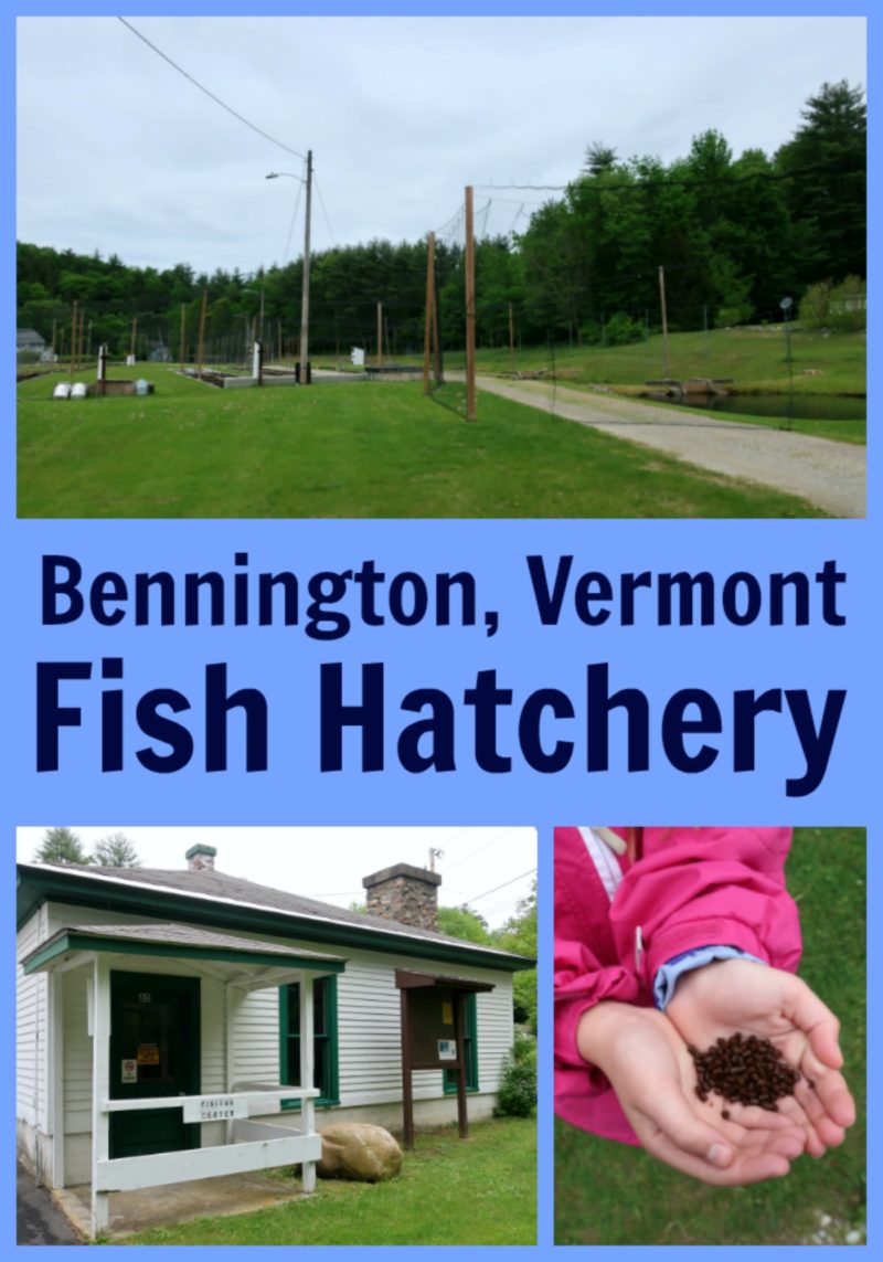 Bennington Fish Hatchery, Vermont A Nation of Moms