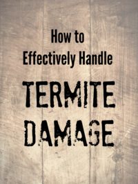 Termite Damage