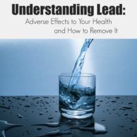 Understanding Lead: Adverse Effects to Your Health and How to Remove It