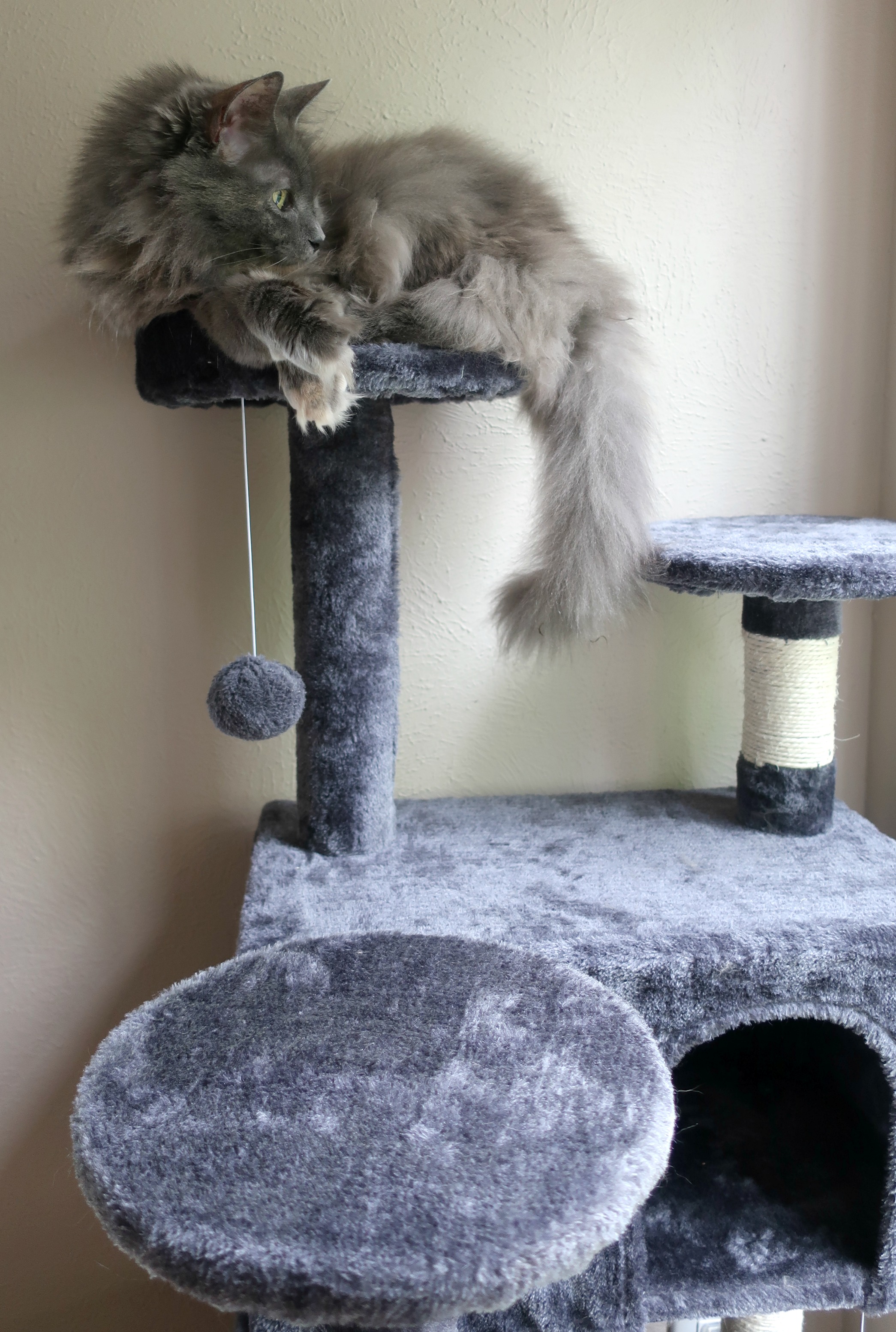Yaheetech Cat Tree Tower Condo A Nation of Moms