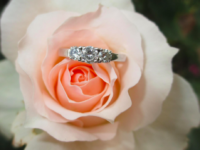 Tips For Finding the Perfect Engagement Ring