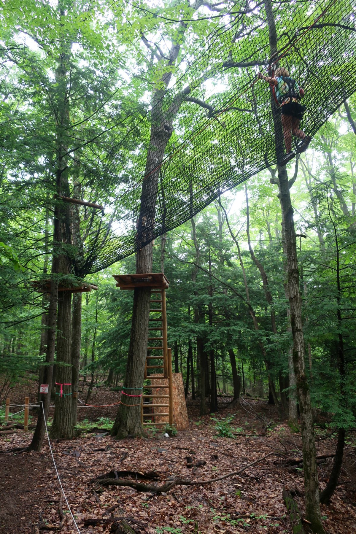 WildPlay Thacher Adventure Course, Voorheesville, New York A Nation