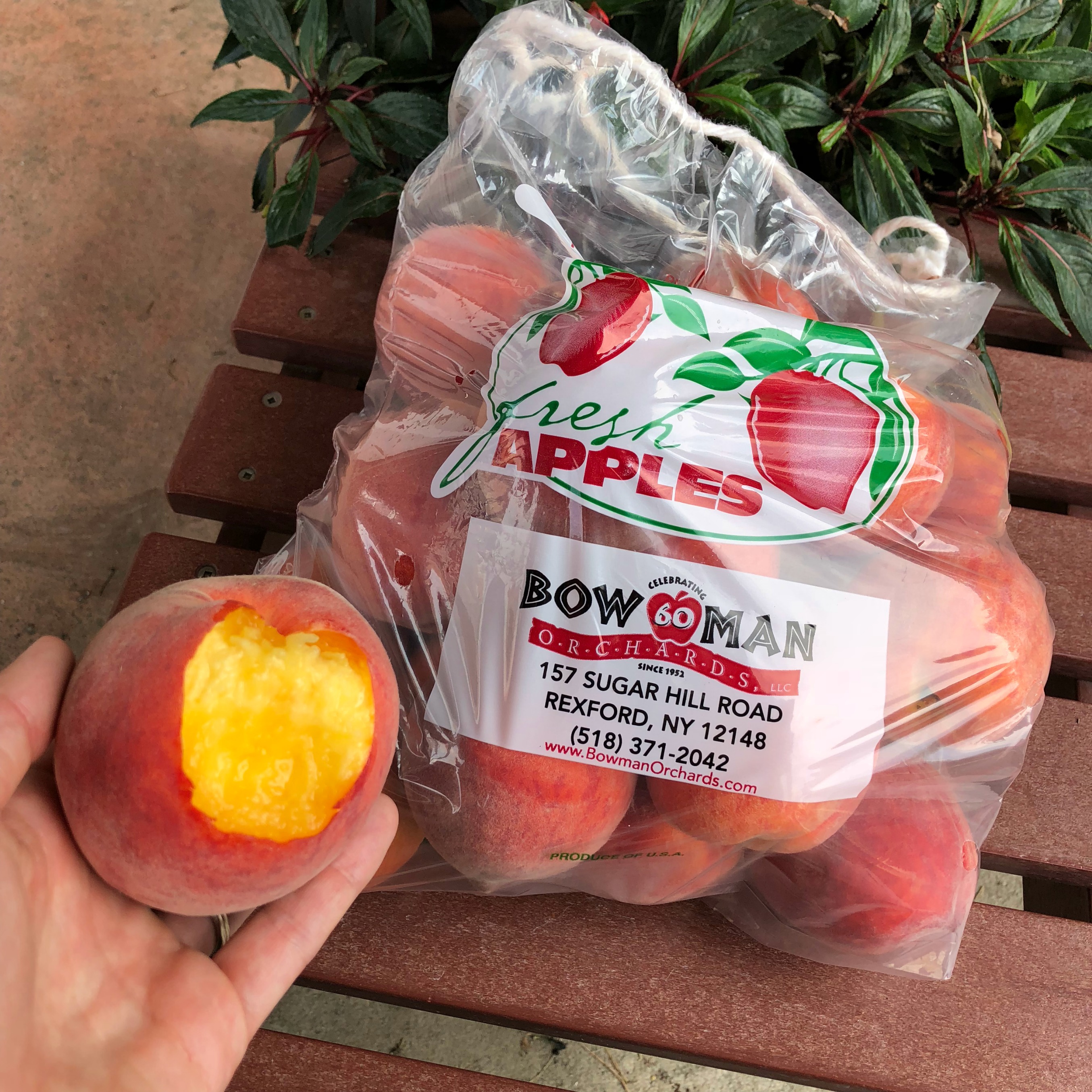 Bowman Farms, Rexford New York