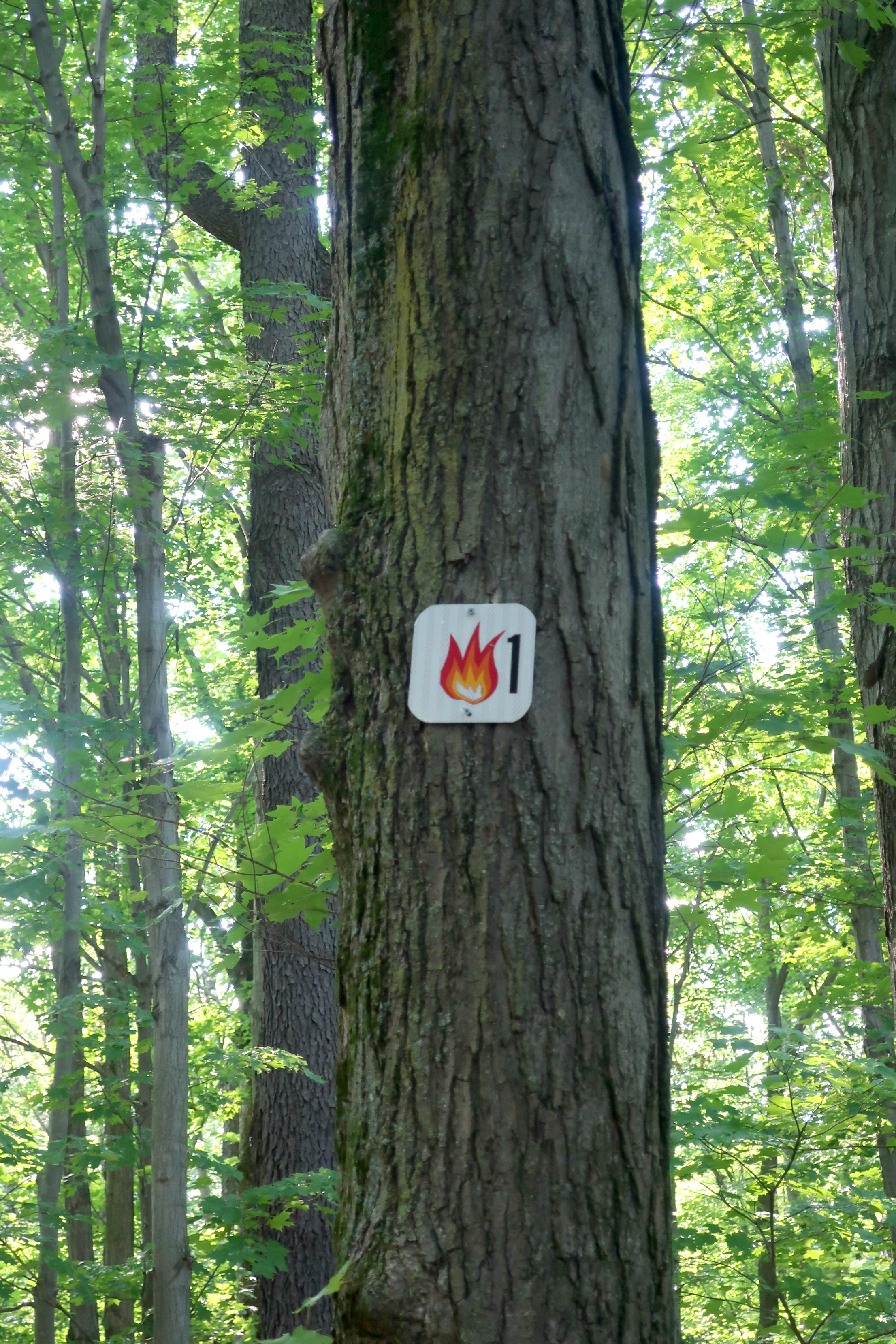 Eternal Flame Trail Marker