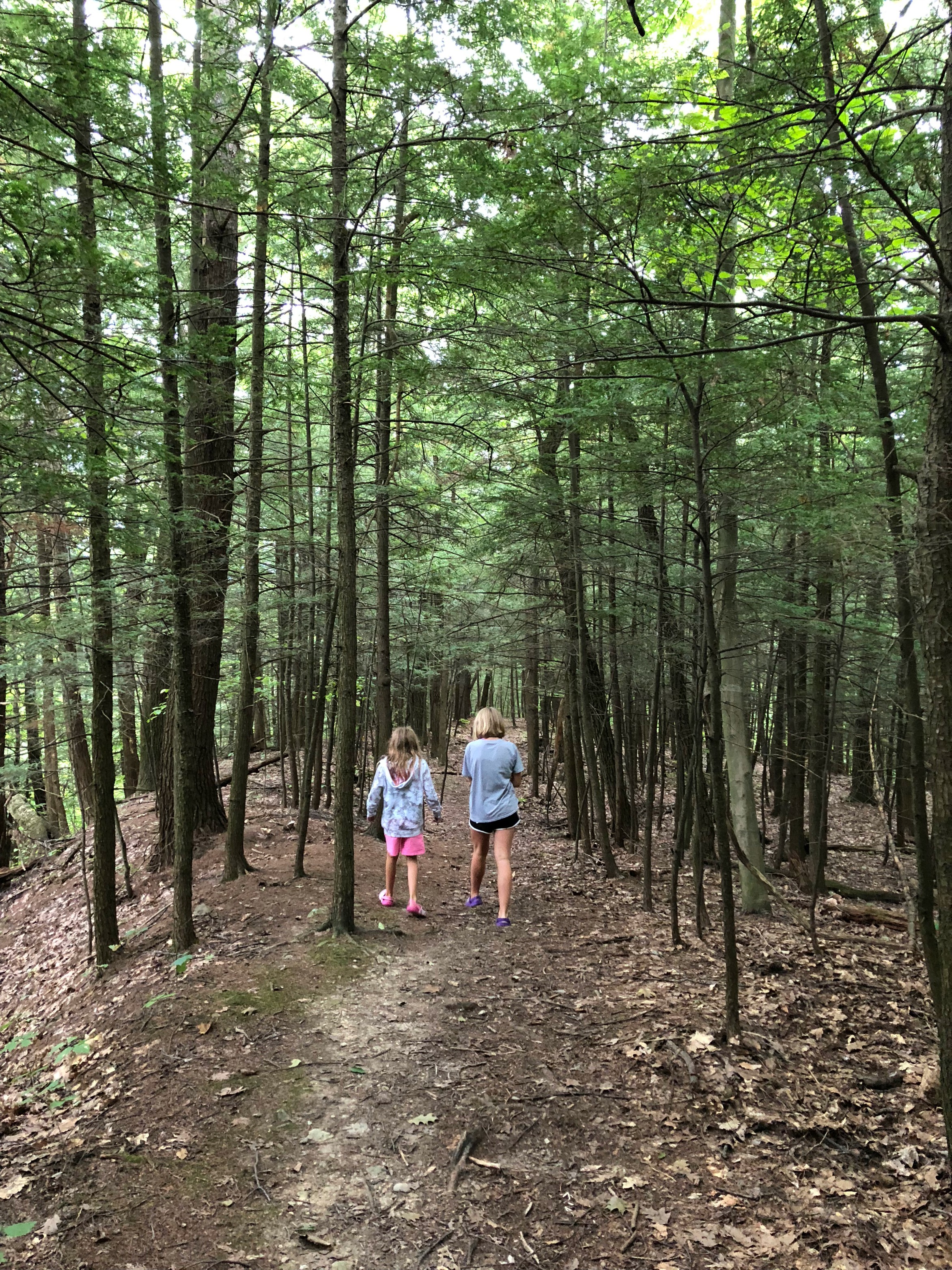 Moccasin Kill Sanctuary Trail