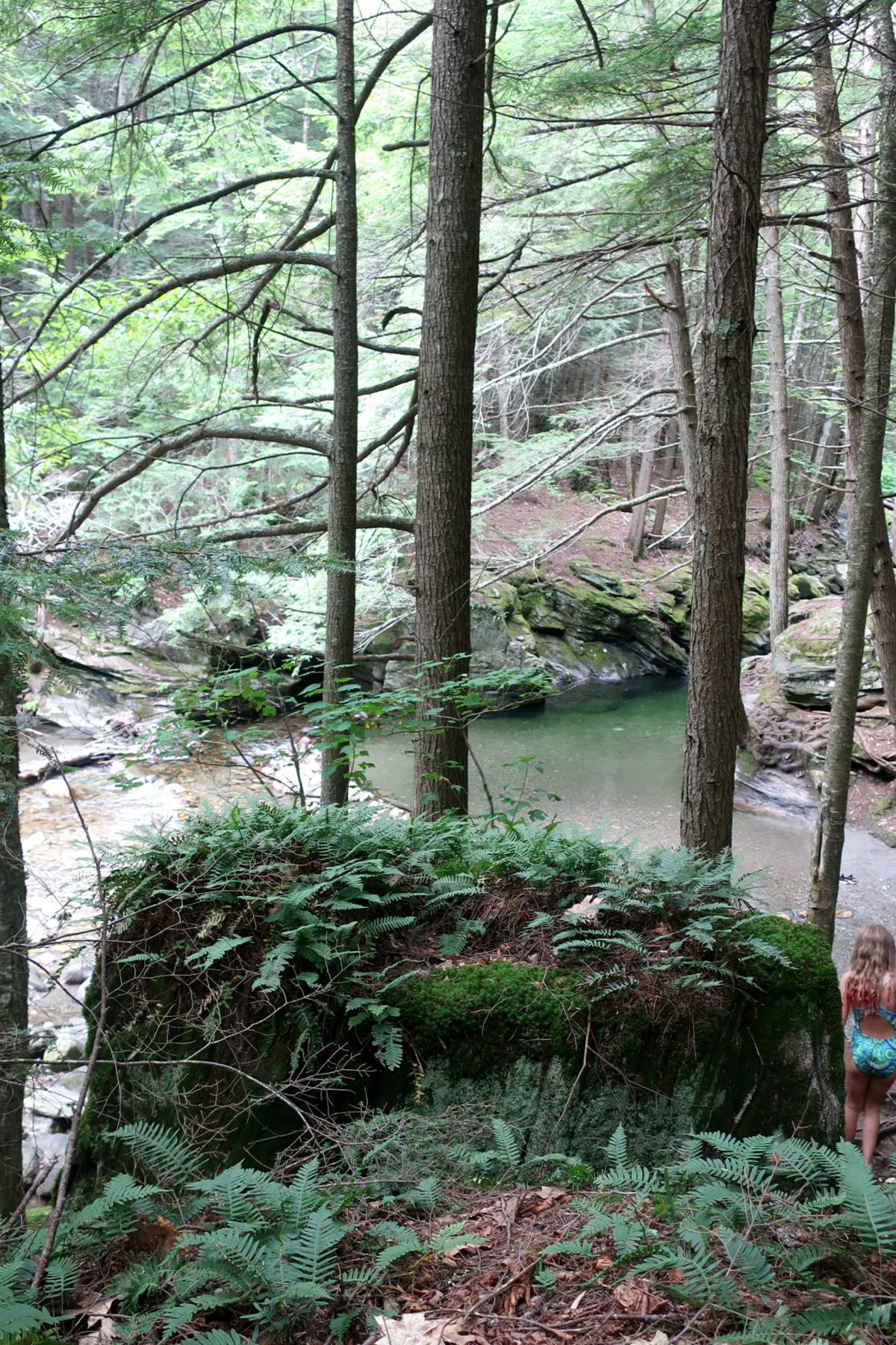 Twenty Foot Swimming Hole, Reading, Vermont