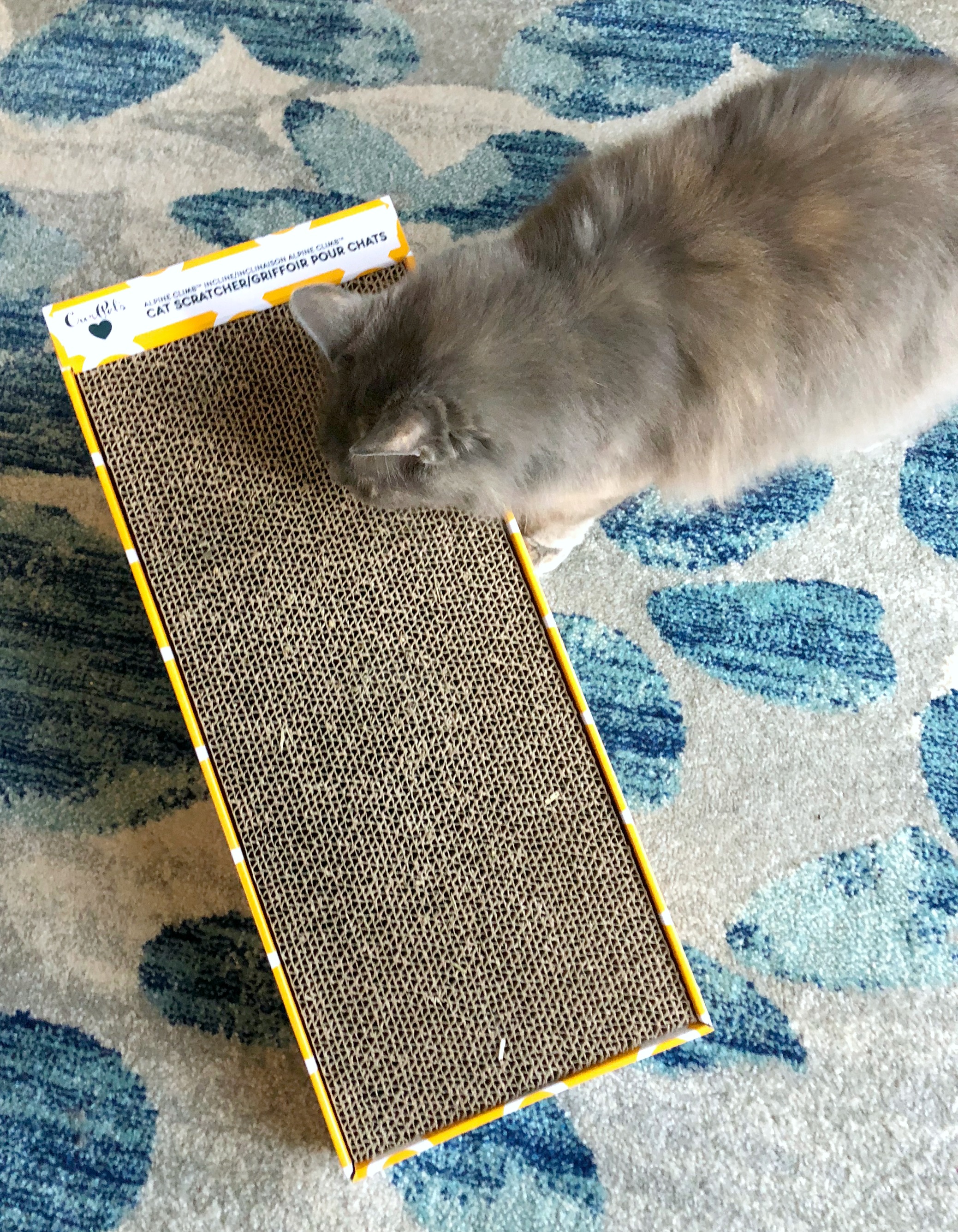 Chewy Cat Scratcher