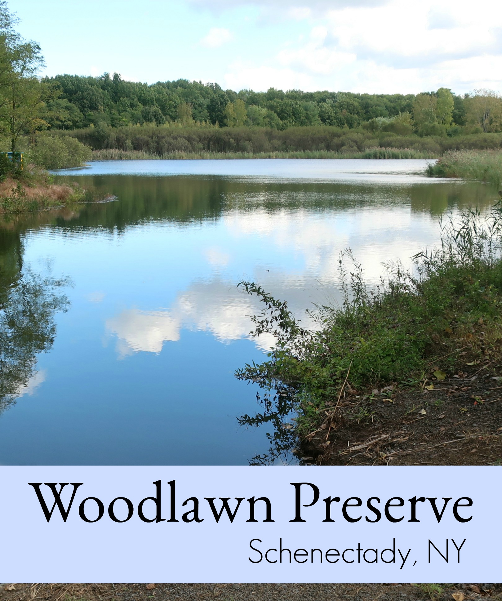 Woodlawn Preserve