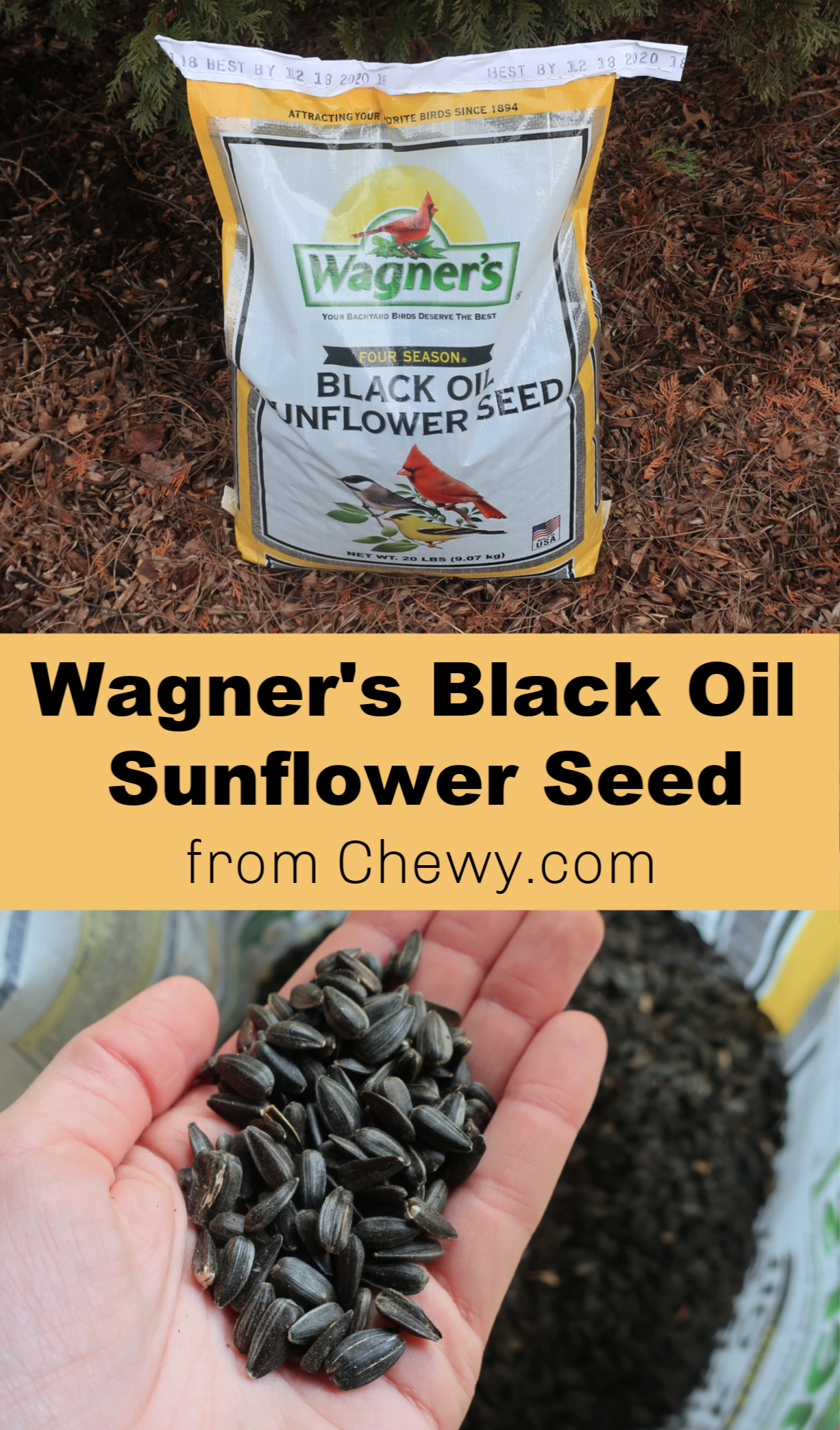 Wagner's Black Oil Sunflower Seeds - A Nation of Moms