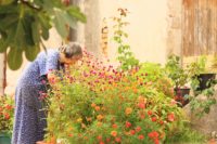 Elderly Gardening Senior Grandmother