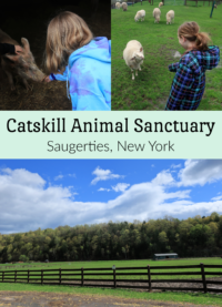 Catskill Animal Sanctuary New York