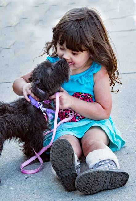 Young girl with a dog