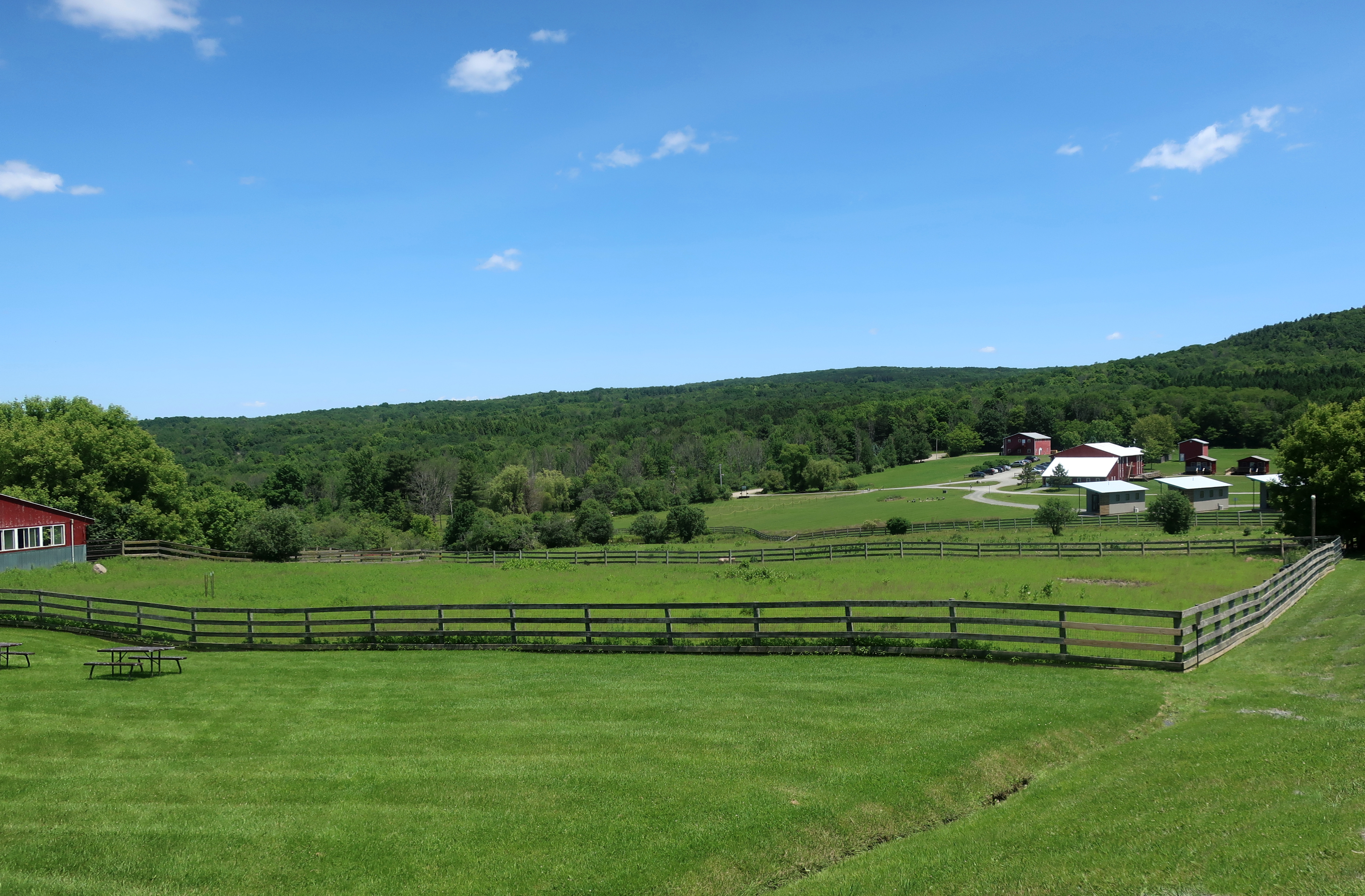 Farm Sanctuary Watkins Glen New York